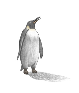 Pingüí II